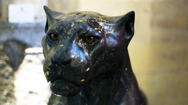 Chris Tap - Jaguar - Kroon Gallery
