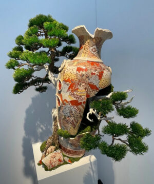 The Resilliant Satsuma - Patrick Bergsma